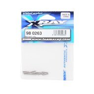 XRAY Pin 2.5x13mm (10)