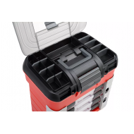 Scatola Scomparti Team Corally