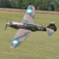 Aereo da caccia FMS P-40B Warhawk 1400mm PNP