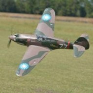 FMS Jagdflugzeug P-40B Warhawk 1400mm PNP