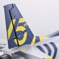 FMS Viper V2 70mm EDF Jet PNP Airplane - 15th Anniversary Edition