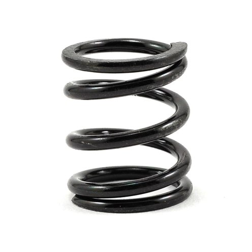 Muelle Salvaservos Mugen MBX8r